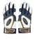 ローリングス（Rawlings）ジュニア バッティング用グローブ 野球 GS2ハイパーグリップ 両手組 EBG25S01-STBLU-J