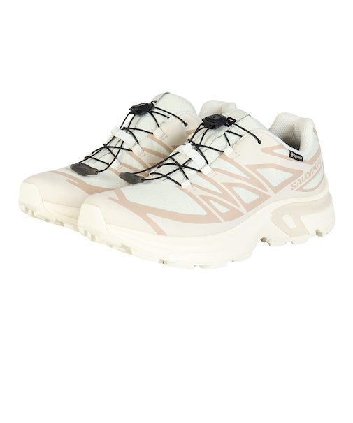 サロモン（SALOMON）カジュアルシューズ XT-EVR GTX L47803500
