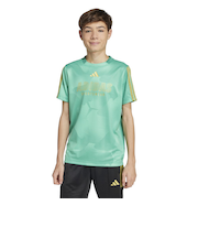 アディダス（adidas）ジュニア ハウス オブ ティロ カラーズ オブ フットボール 半袖Tシャツ KPG99-JD0500