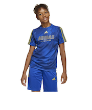 アディダス（adidas）ジュニア ハウス オブ ティロ カラーズ オブ フットボール 半袖Tシャツ KPG99-JD0499