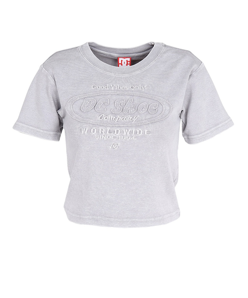 ディーシーシューズ（DC SHOES）HIDDEN SHORT 半袖Tシャツ 25SPLST251309GRD