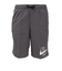 ナイキ（NIKE）水着 水泳 グラフィック 9 ボレーショーツ グレー M-LLサイズ NESSA565-N018 シンプル カジュアル 部活 運動 スポーツ…