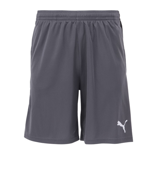 プーマ（PUMA）サッカーウェア INDIVIDUAL LIGA トレーニング ショーツ 65982808