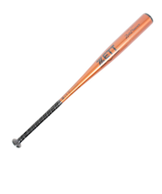 ゼット（ZETT）硬式用バット 野球 一般 ZETTPOWER 83cm BAT11383C-5601