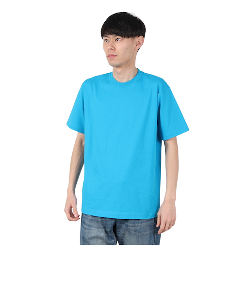 ヘインズ（Hanes）BEEFY PLANE 半袖Tシャツ H5180 342