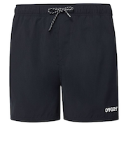 オークリー（OAKLEY）BEACH VOLLEY 16インチ ビーチショーツ FOA404310-02E