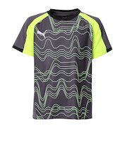 プーマ（PUMA）サッカーウェア ジュニア INDIVIDUAL LIGAグラフィック Tシャツ 66018508
