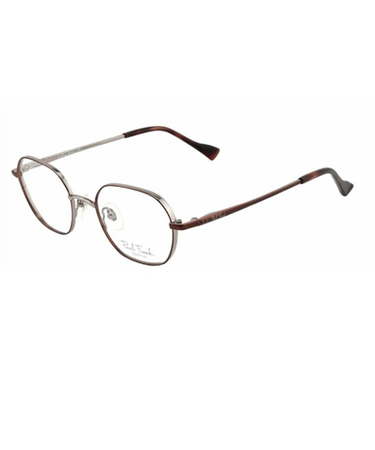 ポールフランクメガネフレーム 眼鏡 PFF8116 4080 メタルヘキサゴン※フレームのみ