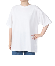 リーフ（REEF）PLATING 半袖 Tシャツ RFTEL2508-WHT
