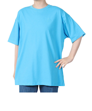 リーフ（REEF）PLATING 半袖 Tシャツ RFTEL2508-BLU