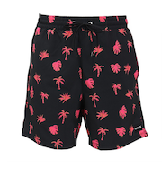 ハーレー（HURLEY）キャノンボール ボレー 17 サーフパンツ 水着 MBS0011890-004