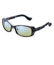 ジールオプティクス（ZEAL OPTICS）サングラス DD F-2164 スポーツサングラス アウトドア 偏光レンズ UVカット