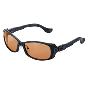 ジールオプティクス（ZEAL OPTICS）サングラス DD F-2161 スポーツサングラス アウトドア 偏光レンズ UVカット