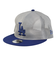 ニューエラ（NEW ERA）帽子 キッズ Youth 9FIFTY トラッカー All Mesh ロサンゼルス・ドジャース グレー 52-55cm 14391…
