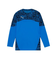 プーマ（PUMA）サッカーウェア INDIVIFTBL プロ 長袖シャツ 66037507
