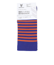 野球 YBボーダーストッキングA YA4AS06-40