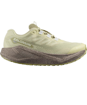 サロモン（SALOMON）ランニングシューズ ジョギングシューズ エアロ ブレイズ 3 グラベル GT グリーン L47978400 スニーカー