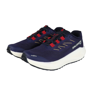 サロモン(SALOMON)ランニングシューズ ジョギングシューズ エアロ ブレイズ 3 グラベル パープル L47915400 スニーカー