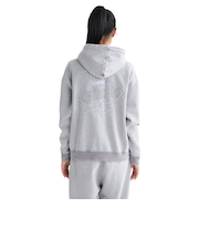 ディーシーシューズ（DC SHOES）HIDDEN プルオーバーフーディー 25FWLPO254308GRS