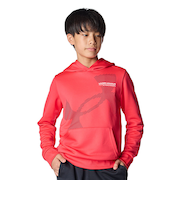 アンダーアーマー（UNDER ARMOUR）テックテリー スーパービッグロゴ フーディー 6007817 989