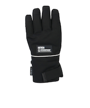 アンセム（ANTHEM）アンセムハイファイブグローブ AG2508032