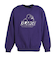 エクストララージ（XLARGE）OLD OG クルーネック スウェットシャツ 101253012002-PURPLE
