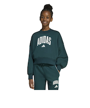 アディダス（adidas）キッズ エッセンシャルズ カレッジ タイポグラフィ フレンチテリースウェット KLH31-JV7377