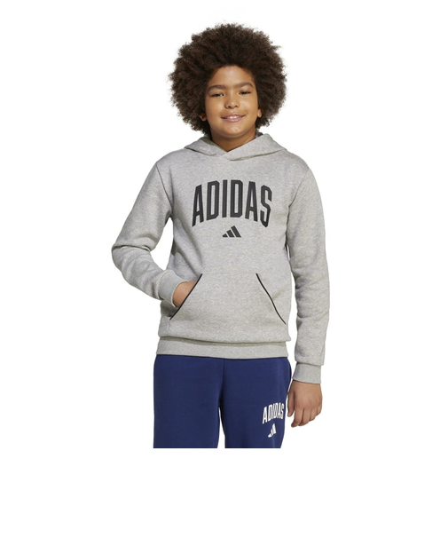アディダス（adidas）シーズナル エッセンシャルズ カレッジ タイポグラフィ パーカー キッズ KLH32-JV7336