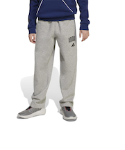 アディダス（adidas）キッズ シーズナル エッセンシャルズ カレッジ タイポグラフィ パンツ KLH27-JW2386