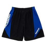 ハンドボールウェア ゲームパンツ PENNANT HB25AP03-04