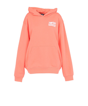 ニューバランス（new balance）スポーツフレンチテリー リラックスフーディー WT53502FAR