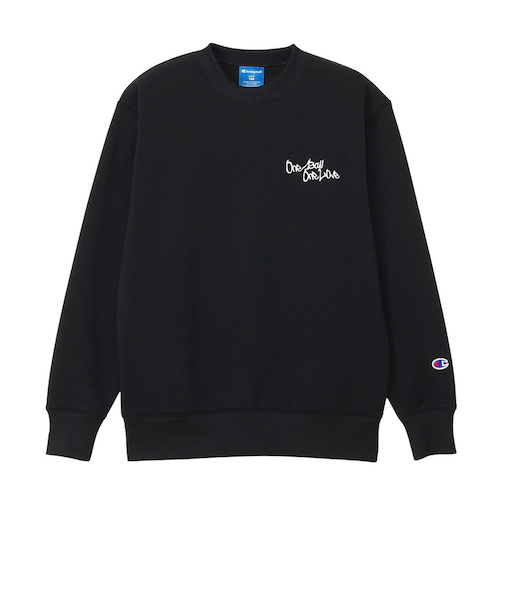 チャンピオン(CHAMPION)バスケットボールウェア ジュニア ミニ クルーネックスウェットシャツ CK-CB017 090