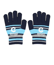 手袋 ジュニア ボーダーニットグローブ サックス WG5F0006-WA902-GRST SAX 滑り止め付き 防寒 ジュニア手袋