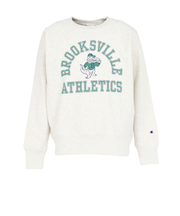 チャンピオン-ヘリテイジ(CHAMPION-HERITAGE)リバースウィーブ 11.5オンス カレッジ スウェットシャツ C3-C027 810