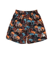 エゴザル（EGOZARU）バスケットボールウェア ディファレントロゴ ショート EZFW25UHP009C035