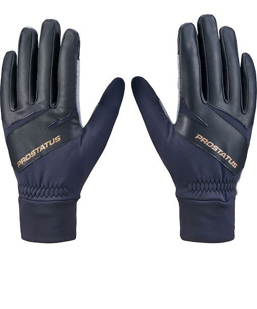 ゼット（ZETT）防寒用フリース手袋 野球 プロステイタス BG43714B-1919