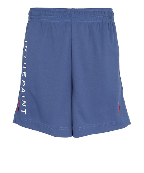 インザペイント（IN THE PAINT）バスケットボールウェア 膝上ショート丈 ショーツ ITP25403IND