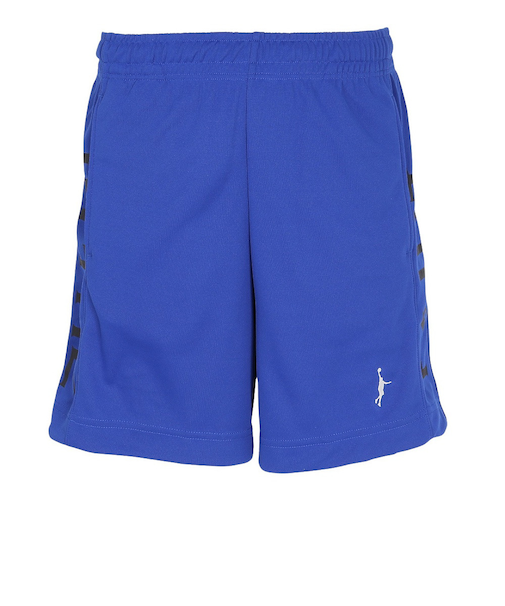 インザペイント（IN THE PAINT）バスケットボールウェア 膝上丈 サイドプリントロゴ ショーツ ITP25438ROY