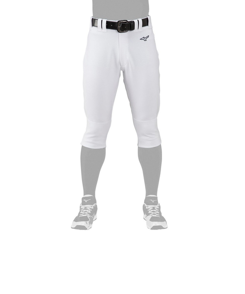 ミズノ（MIZUNO）野球 練習用 GACHIユニフォームパンツ ショートタイプ 12JD2F6401