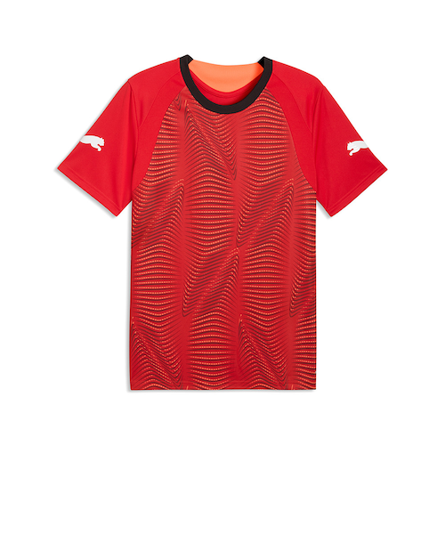 プーマ（PUMA）サッカーウェア INDIVIFINAL 半袖シャツ 66086501