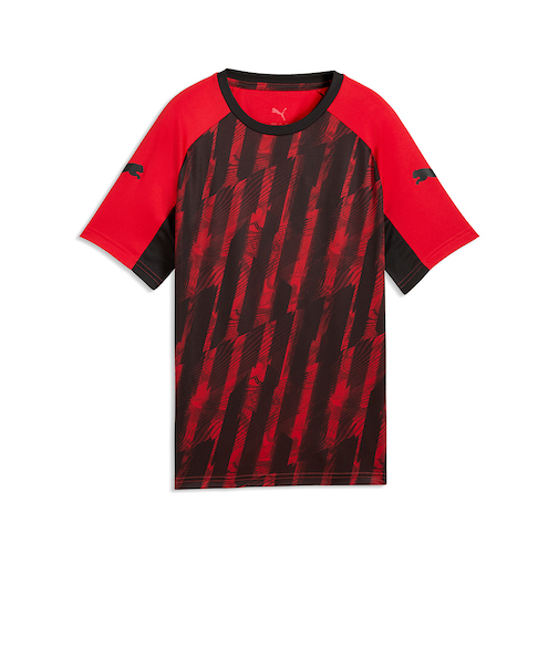 プーマ（PUMA）サッカーウェア ジュニア INDIVILIGA グラフィック 半袖シャツ 66096701