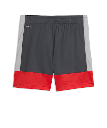 プーマ（PUMA）サッカーウェア ジュニア INDIVILIGA トレーニング ショーツ 66097401