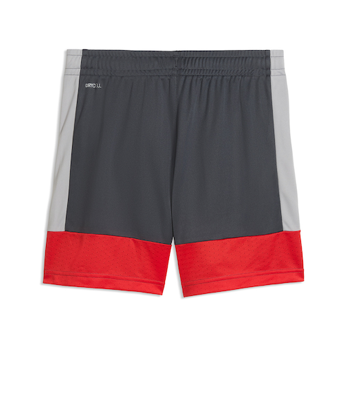 プーマ（PUMA）サッカーウェア ジュニア INDIVILIGA トレーニング ショーツ 66097401