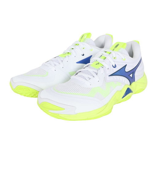 ミズノ（MIZUNO）バレーボールシューズ ウエーブモーメンタム エリート V1GA251239