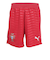 プーマ（PUMA）ジュニア F.P.F レプリカユニフォーム ショーツ 78330001