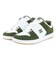 ディーシーシューズ（DC SHOES）スニーカー ボーダーシューズ マンテカ 4 ホワイト グリーン 26SPDM261013302 スポーツ シューズ