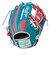 ローリングス（Rawlings）軟式用グラブ 内野手 野球グローブ 一般 ハイパーテックCOシンクN62 TE/PK GR6HTCN62-TE/PK