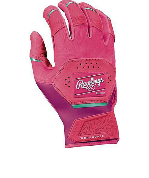 ローリングス（Rawlings）バッティング用グローブ 野球 WORKHORSE