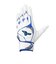 ミズノ（MIZUNO）ジュニア バッティング用グローブ 野球 ウィルドライブ ブルー 両手用 26SS 1EJEY29501