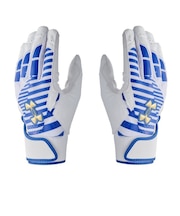 アンダーアーマー（UNDER ARMOUR）バッティング用グローブ 野球 クリーンアップ プロ 両手用 6001312 101